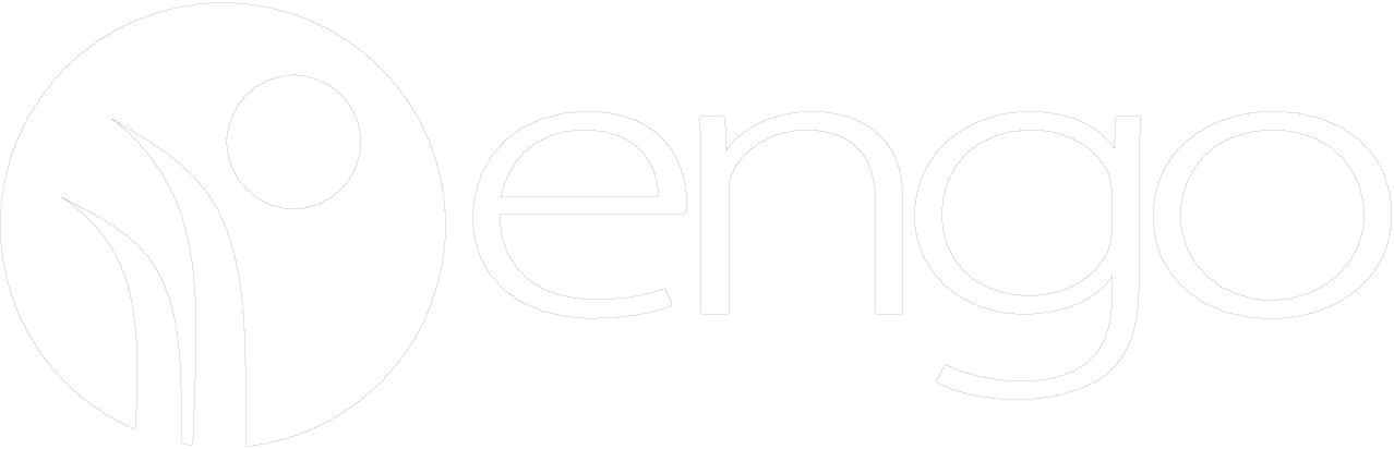ENGO Armenia